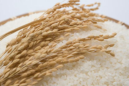 国産の美味しいお米を使用！！